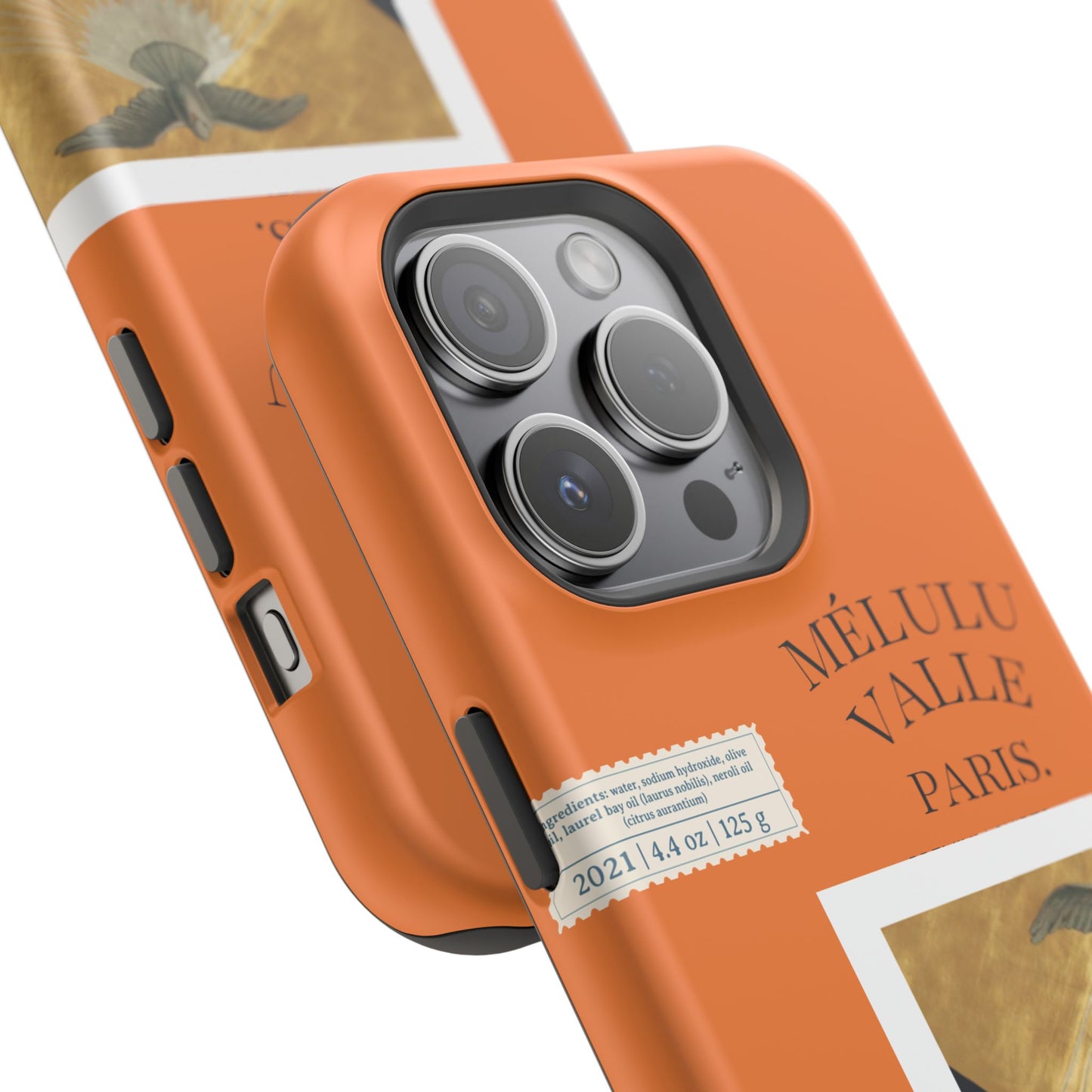 Colomba Artistic Case